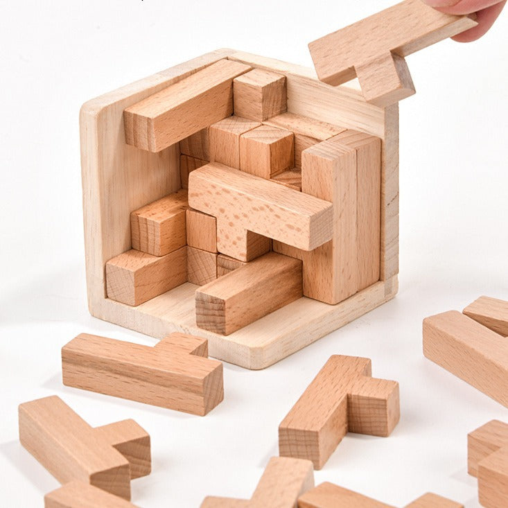 3D Wooden Brain Teaser Puzzle