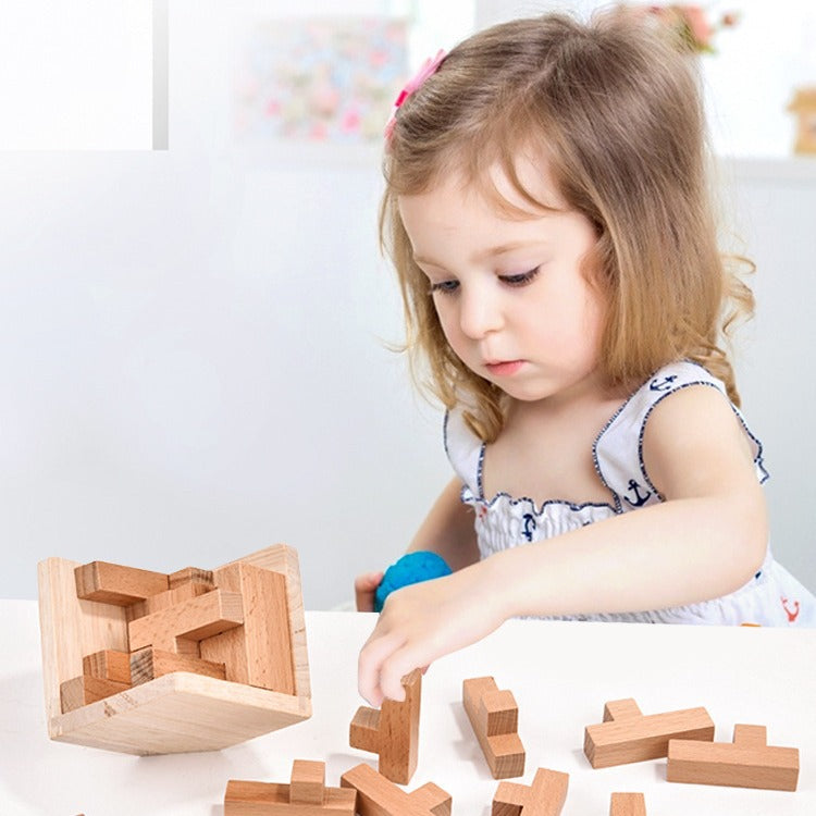 3D Wooden Brain Teaser Puzzle